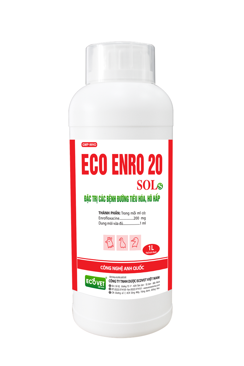 ECO ENRO 20 SOL Special Treatment For Digestive And Respiratory Diseases
