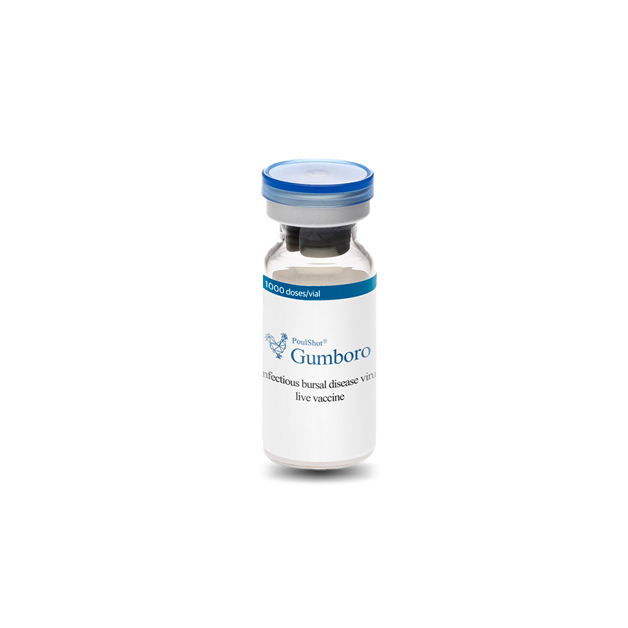 POULSHOT GUMBORO - Phòng bệnh Gumboro ( IBD) trên gà.