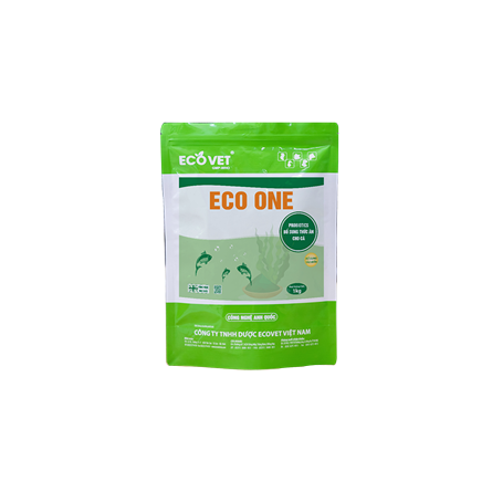 ECO ONE - 