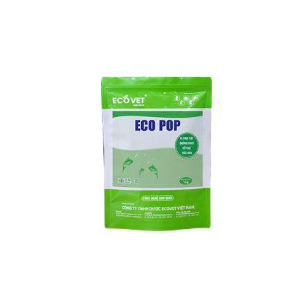 ECO POP - Vi sinh vật đường ruột, hỗ trợ tiêu hoá