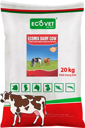 Ecomix Dairy Cow - Thức ăn bổ sung vitamin và khoáng cho bò sữa