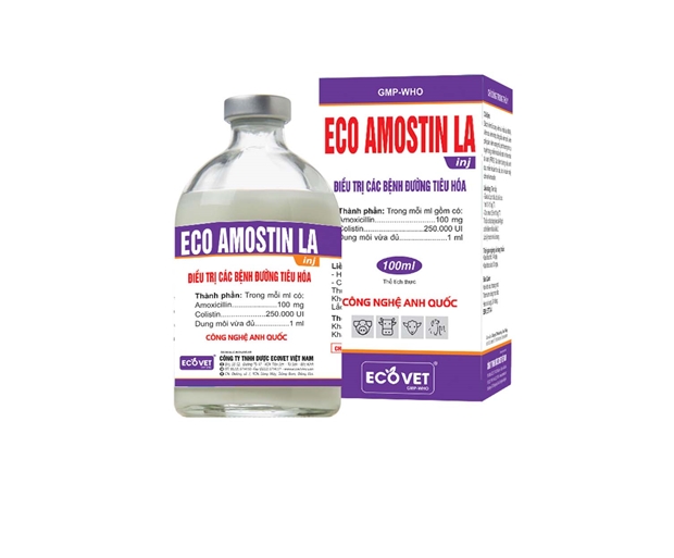 ECO AMOSTIN LA - Đặc trị các bệnh đường tiêu hóa
