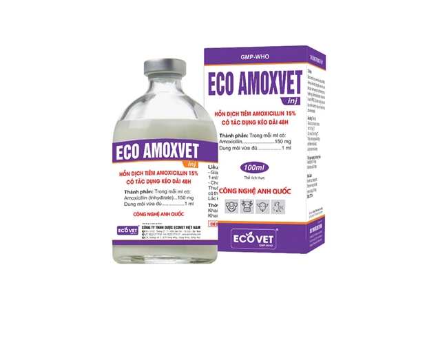 ECO AMOXVET LA - Hỗn dịch tiêm Amoxycillin 15%. Có tác dụng kéo dài 48h.