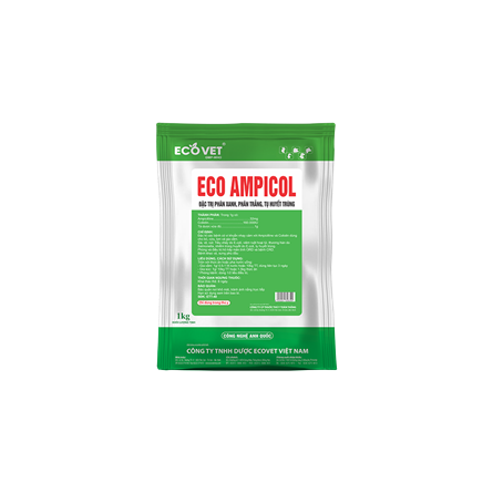 Eco Ampicol - Đặc trị phân xanh, phân trắng, tụ huyết trùng.