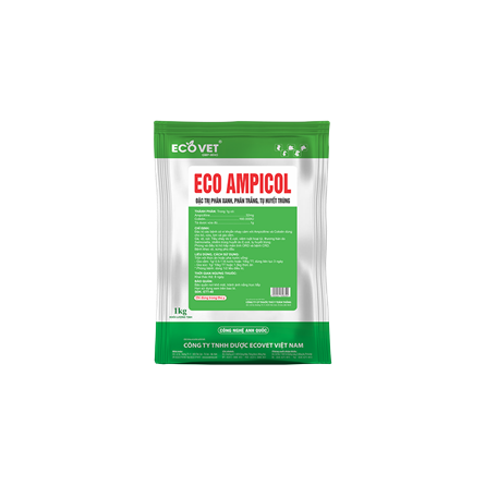 ECO AMPICOL - Special treatment for green feces, white feces, and septicemia.