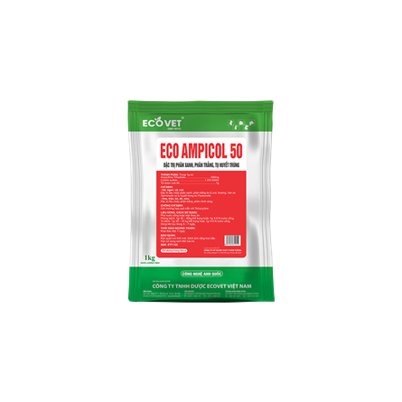 Eco Ampicol 50 - Đặc trị tụ huyết trùng, phân xanh, phân trắng