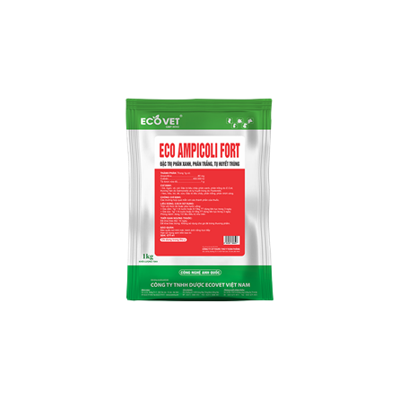 Eco Ampicoli Fort - Special treatment for green feces, white feces, septicemia