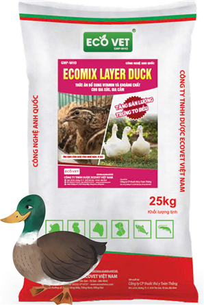 Ecomix Layer Duck - Thức ăn bổ sung vitamin và khoáng cho vịt đẻ