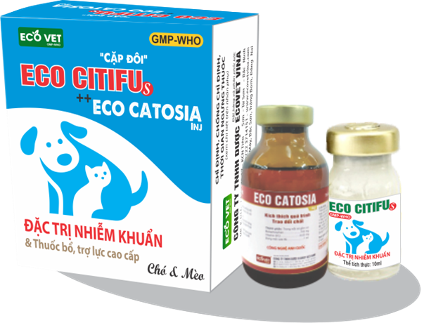 ECO CITIFU S & ECO CATOSIA INJ - Special treatment for infections and high-end supplements and boosters