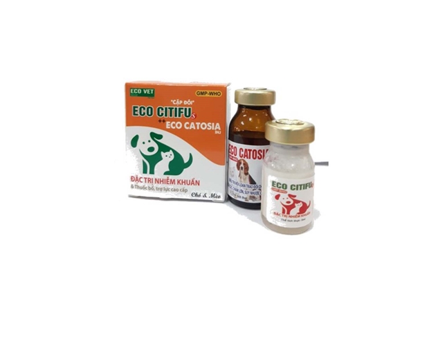 ECO CITIFU S & ECO CATOSIA INJ - Đặc trị nhiễm khuẩn & thuốc bổ trợ, trợ lực cao cấp