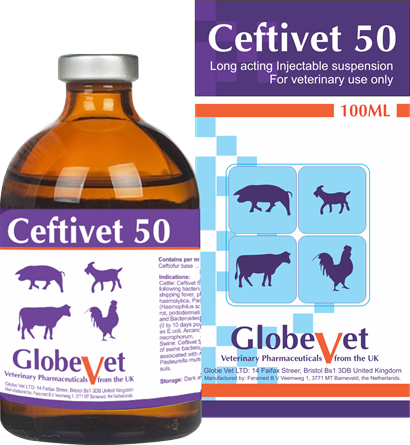 CEFTIVET 50 - Đặc trị bệnh nhiễm khuẩn đường hô hấp