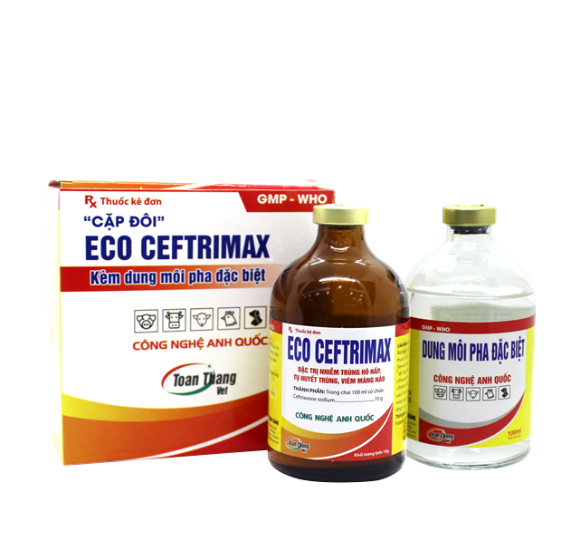 ECO CEFTRIMAX B - ĐIỀU TRỊ NHIỄM TRÙNG HÔ HẤP, TỤ HUYẾT TRÙNG, VIÊM MÀNG NÃO