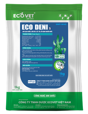 ECO DENI S - Làm sạch nước, bùn đáy, ổn định màu nước.