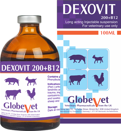 DEXOVIT 200+B12 - Prevention and treatment of anemia, supplement B12 for calves and piglets.