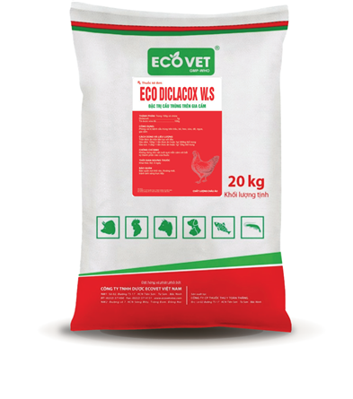 ECO DICLACOX W.S - PHÒNG VÀ TRỊ BỆNH CẦU TRÙNG