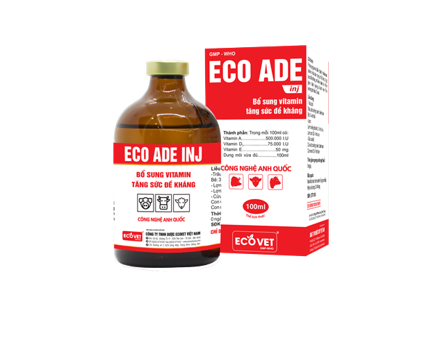 ECO - ADE INJ - Bổ sung Vitamin và tăng sức đề kháng.