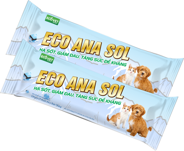 ECO ANA SOL - HẠ SỐT, GIẢM ĐAU, TĂNG SỨC ĐỀ KHÁNG