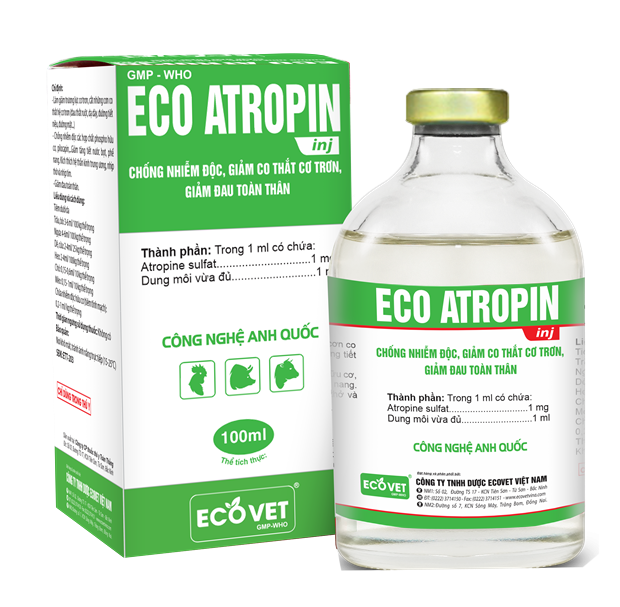 ECO - ATROPIN - Chống nhiễm độc, giảm co thắc cơ trơn, giảm đau toàn thân.