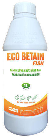 ECO BETAIN FISH - TĂNG CƯỜNG CHỨC NĂNG GAN, TĂNG TRƯỞNG NHANH HƠN