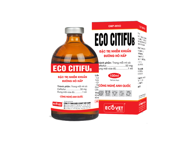 Eco Citifu B - Treatment for respiratory infections