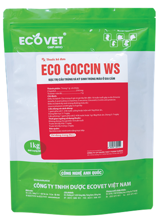 ECO - COCCIN W.S - Đặc trị cầu trùng và ký sinh trùng đường máu ở gia cầm.