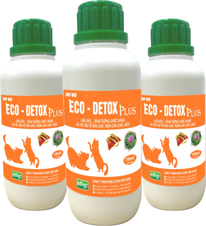 Eco Detox Plus - Giải độc, tăng cường chức năng và tái tạo tế bào gan, thận cho chó, mèo