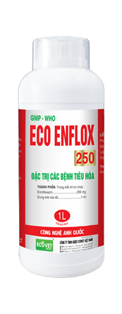 ECO - ENFLOX 250 - Đặc trị các bệnh đường tiêu hóa.