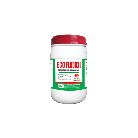 Eco Flodoxi - Đặc trị bệnh nhiễm khuẩn đường hô hấp