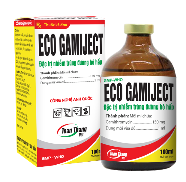 ECO GAMIJECT - Đặc trị nhiễm trùng đường hô hấp