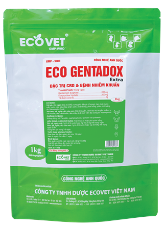 ECO GENTADOX EXTRA - ĐẶC TRỊ CRD VÀ BỆNH NHIỄM KHUẨN