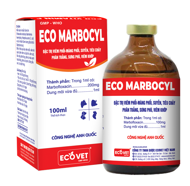 ECO - MARBOCYL - Đặc trị viêm phổi - màng phổi, suyễn tiêu chảy phân trắng, sưng vù, viêm khớp.