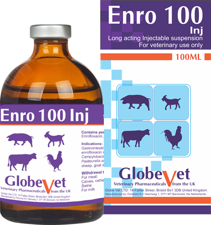 ENRO 100 INJ - Special treatment for respiratory diseases