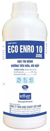 ECO ENRO 10 SOL - Đặc trị các bệnh đường tiêu hóa, hô hấp
