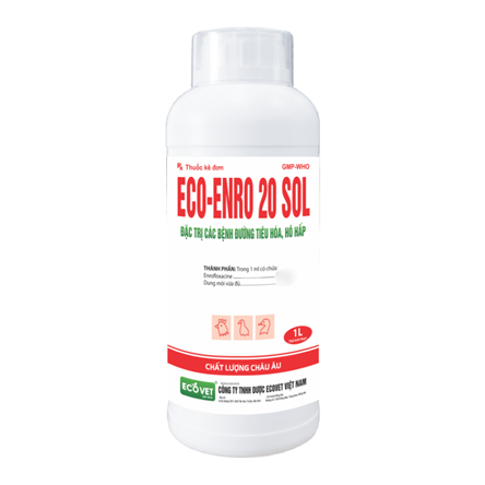ECO ENRO 20 SOL - Đặc trị các bệnh đường tiêu hóa, hô hấp