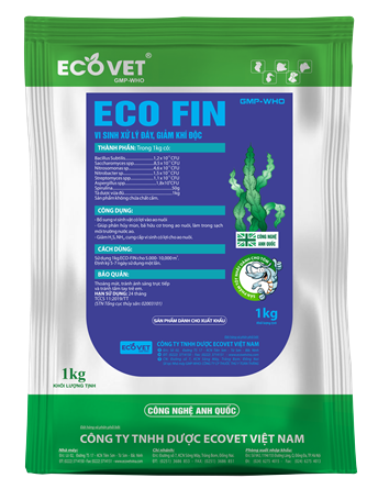 ECO FIN - Vi sinh xử lý đáy, giảm khí độc.