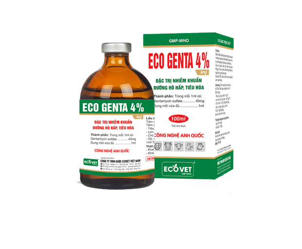 ECO GENTA 4% - Đặc trị nhiễm khuẩn đường hô hấp, tiêu hóa.