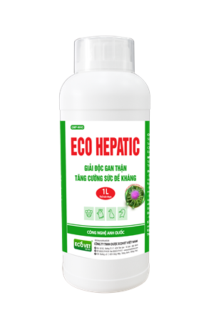 ECO HEPATIC - Acute liver and kidney detoxification. Enhances resistance.