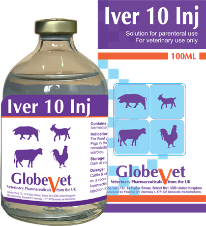 IVER 10% - Treatment of worm, tapeworm, lice