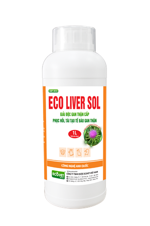 ECO LIVER SOL - LIVER NUTRITION, KIDNEY DETOXIFICATION, INCREASE RESISTANCE