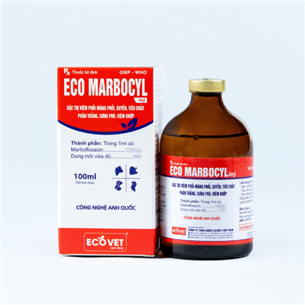 ECO - MARBOCYL - Đặc trị viêm phổi - màng phổi, suyễn tiêu chảy phân trắng, sưng vù, viêm khớp.