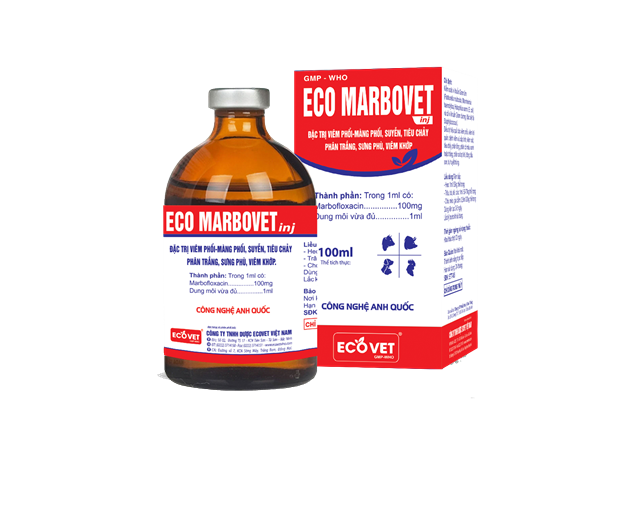 ECO MARBOVET - Kháng sinh đặc trị viêm đường hô hấp