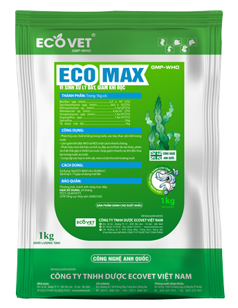 ECO MAX - Vi sinh xử lý đáy, giảm khí độc