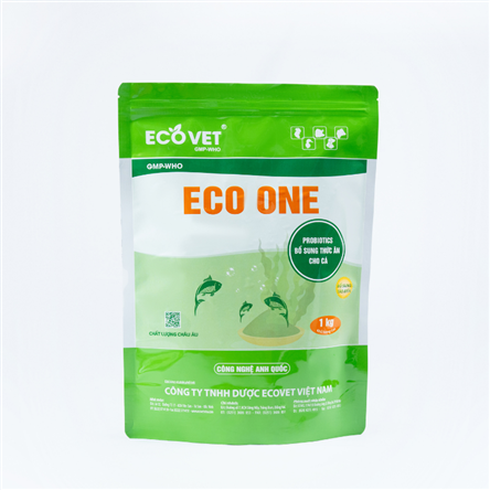 ECO ONE - 