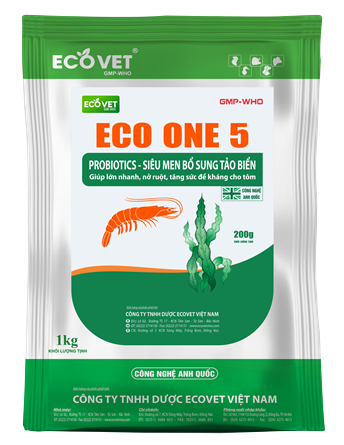 ECO ONE 5 - Probiotics bổ sung thức ăn cho tôm - Siêu men bổ sung tảo biển - Lớn nhanh, nở ruột, tăng sức đề kháng.