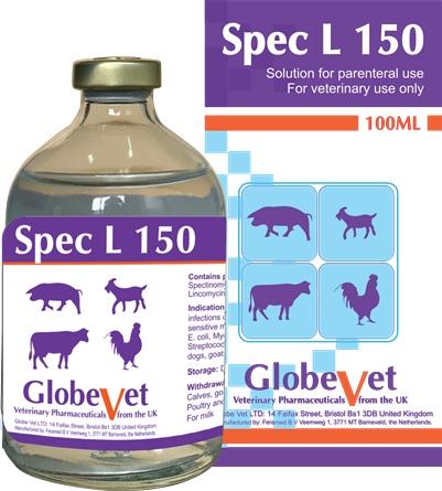 SPEC-L 150 - Đặc trị bệnh nhiễm trùng đường tiêu hóa, hô hấp, tiết niệu.