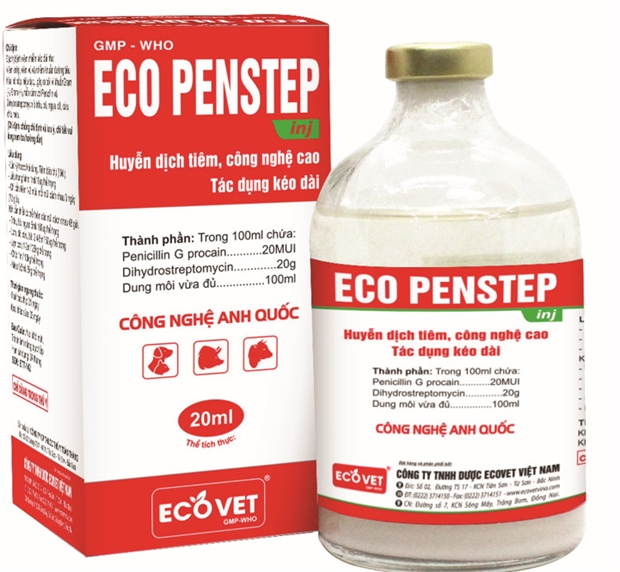 ECO PENSTEP - Huyễn dịch tiêm, đặc trị nhiễm khuẩn đường hô hấp, tiêu hóa.