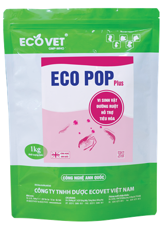 ECO POP PLUS - Vi sinh vật đường ruột, hỗ trợ tiêu hóa.