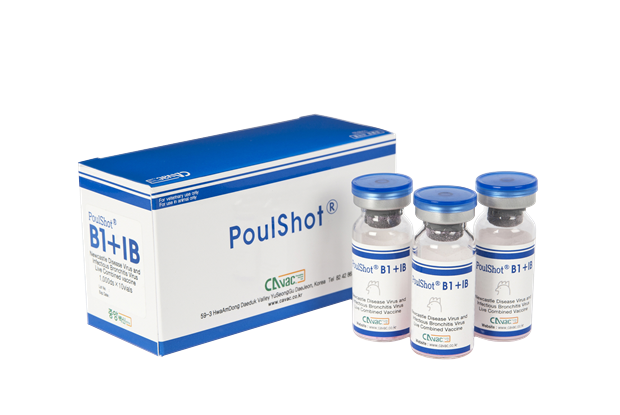 POULSHOT B1+IB -  Phòng bệnh dịch tả ( ND) và Viêm phế quản truyền nhiễm ( IB) trên gà.