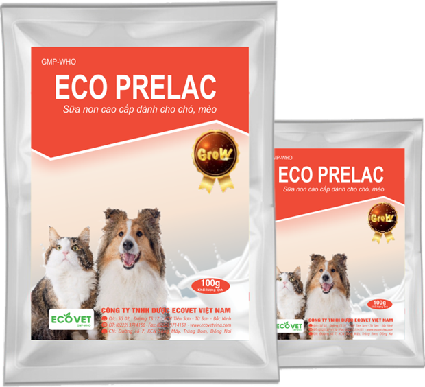 ECO PRELAC - SỮA NON CAO CẤP DÀNH CHO CHÓ MÈO