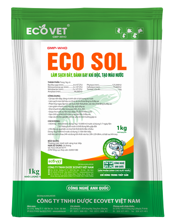 ECO SOL - Làm sạch đáy, đánh bay khí độc, tạo màu nước.